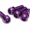 Reverse Jeu De Vis Pour Frein à Disque M6 18mm - 4 Pièces - Violet