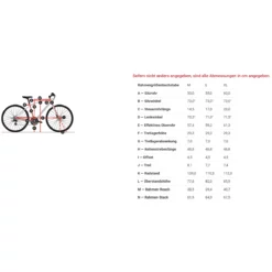 Diamant Rad Elan Grand Deluxe - Gris/Métallique 7 Diamant Rad Elan Grand Deluxe - Gris/Métallique -Vélos Soldes Elan grand deluxe tab