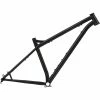 Ns-bikes Eccentric Cromo 29 Pouces Frame 2021 - Black