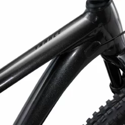 Giant Trance 2 Metallic Black / Noir -Vélos Soldes Trance2 29 metallicblack 5